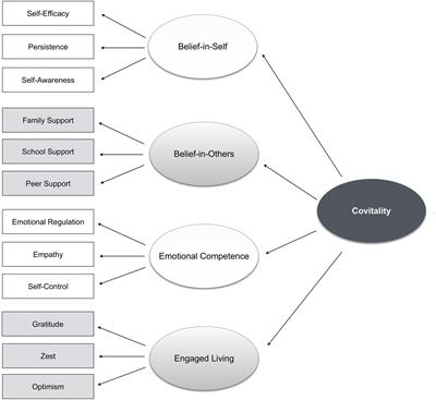 Japanese cultural adaptation and validation of the social emotional health survey-secondary for junior high school students